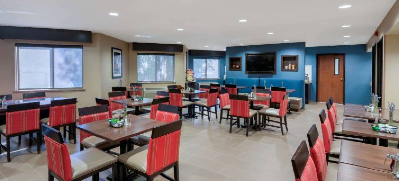 大学舒适酒店(Comfort Inn University)图片