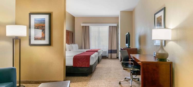 舒适套房酒店(Comfort Suites)图片