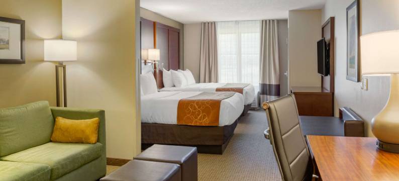 阿米什乡村舒适套房酒店(Comfort Suites Lancaster Amish Country)图片