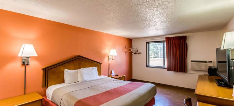 明尼苏达艾伯特利 6 号汽车旅馆(Motel 6 Albert Lea, MN)图片