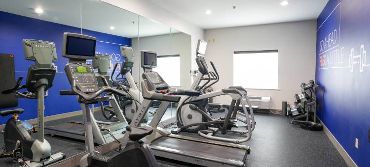智选假日套房酒店雪松山(Holiday Inn Express & Suites Dallas Southwest-Cedar Hill)图片