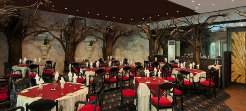 阿吉特大厦酒店(Golden Palms Hotel and Spa Bangalore)图片