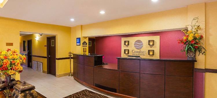 亚瑟港 - 内奇斯港舒适套房酒店(Comfort Inn & Suites Port Arthur-Port Neches)图片