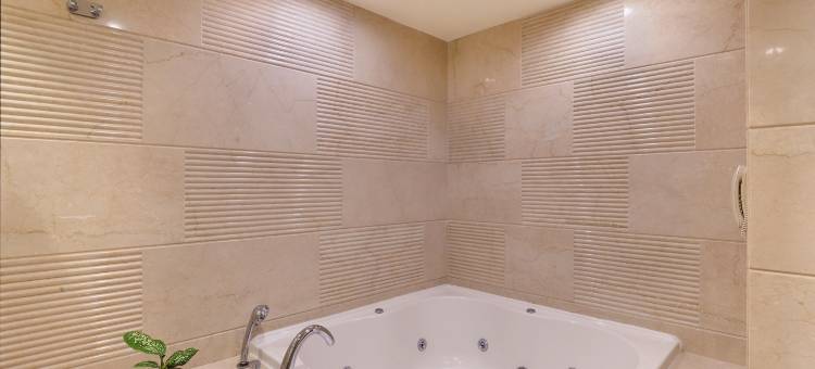 柠檬树乌苏尔湖酒店 - 班加罗尔(Lemon Tree Premier, Ulsoor Lake, Bengaluru)图片