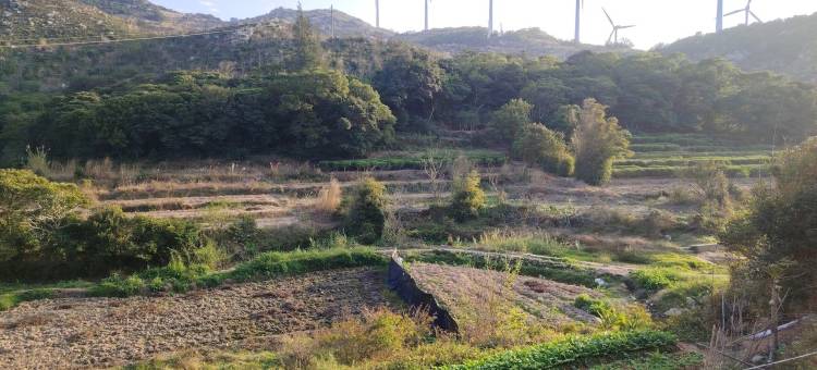 茶缘素舍客栈图片