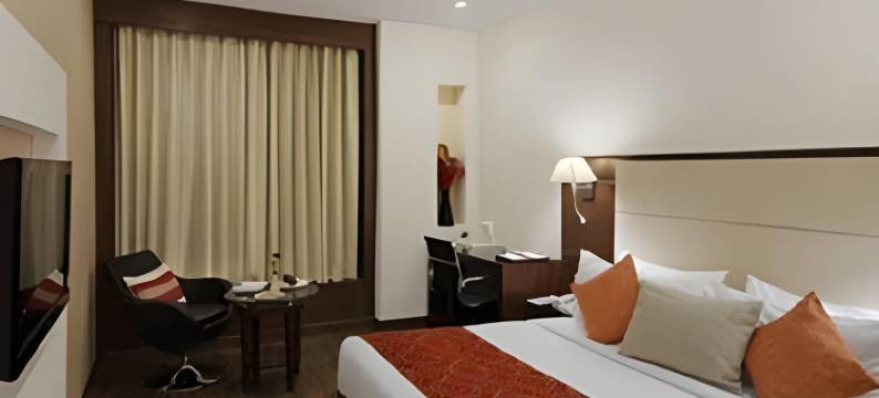 古尔冈DS克拉克斯酒店(Hotel DS Clarks Inn Gurgaon)图片