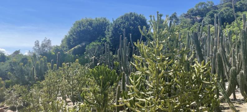 长石民宿(讯大路分店)图片