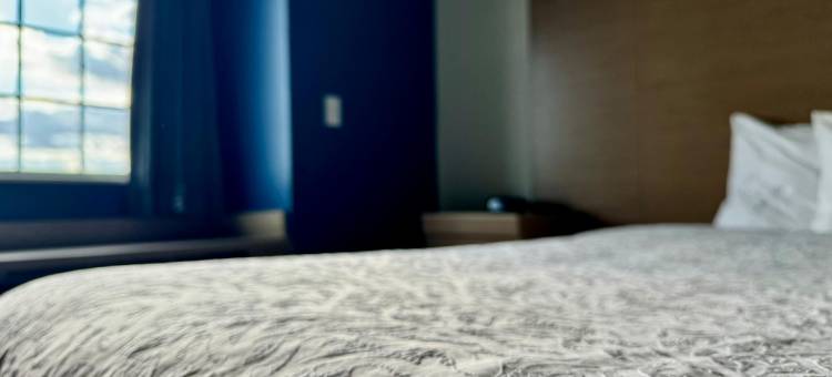 Best Western Red River Lodge Fargo ND图片