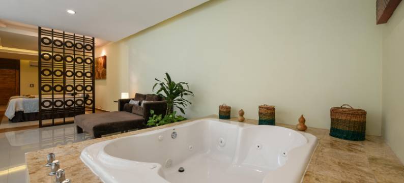 埃尔多拉多海滨套房酒店，海景，全包及更多 - 限成人(Hotel El Dorado Seaside Suites)图片