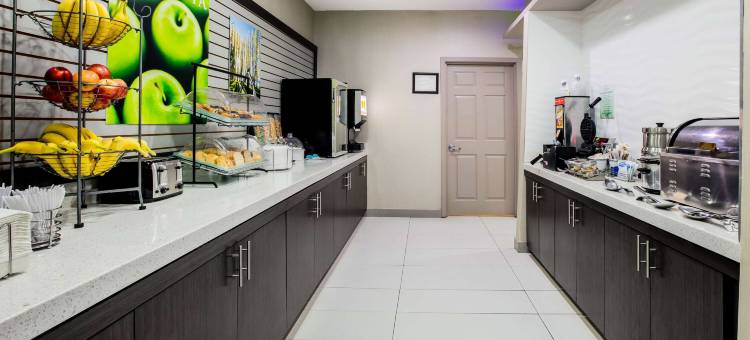 达拉斯梅斯基特拉昆塔温德姆套房酒店(La Quinta Inn & Suites by Wyndham Dallas Mesquite)图片