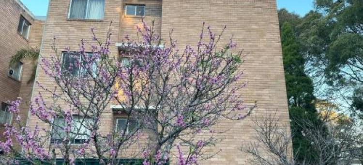Macquarie Treetops - Sydney 2Br Apt in the Heart of Macquarie Park图片