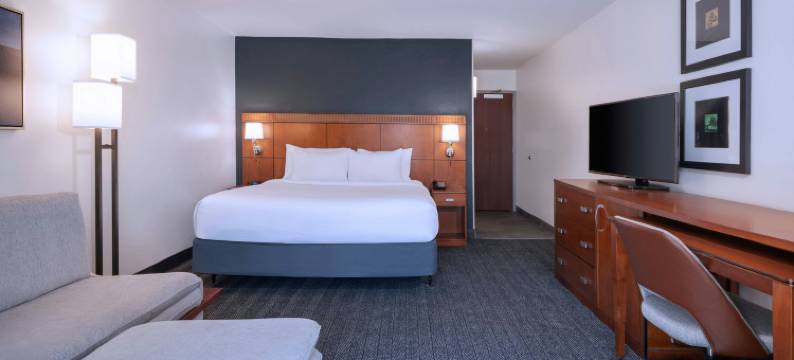 坦帕北弗莱彻I-75万怡酒店(Courtyard Tampa North/I-75 Fletcher)图片