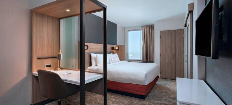 丹佛西金万豪SpringHill Suites酒店(SpringHill Suites Denver West/Golden)图片