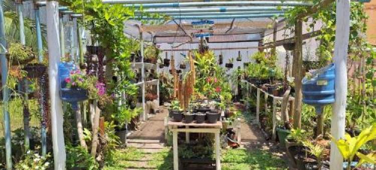 Hospedagem Familiar Yamane图片