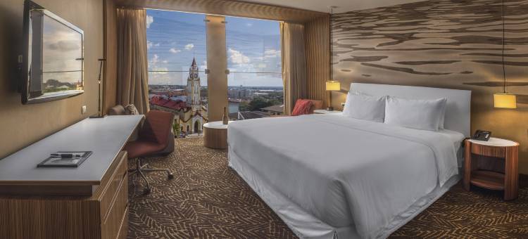 伊基托斯希尔顿逸林酒店(Double Tree by Hilton Iquitos)图片