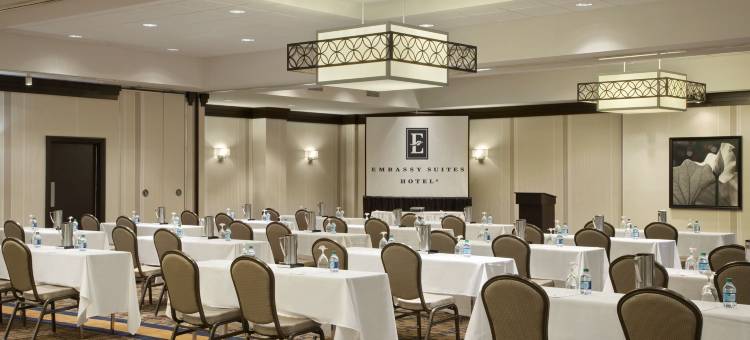 希尔顿安泊酒店-圣路易斯机场(Embassy Suites by Hilton St. Louis Airport)图片