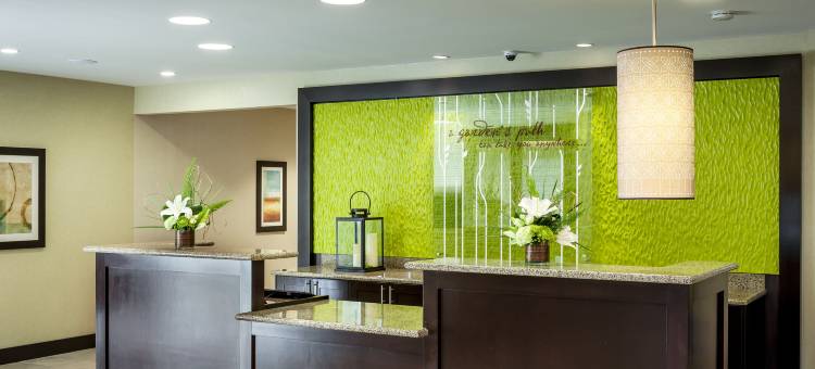 西雅图博塞尔希尔顿花园酒店(Hilton Garden Inn Seattle/Bothell)图片