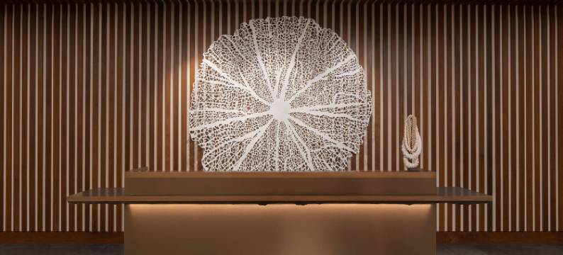 毛伊岛威雷亚万豪 AC 酒店(AC Hotel by Marriott Maui Wailea)图片