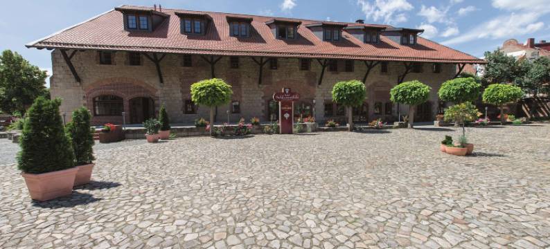 施拉斯穆尔贝斯特韦斯特优质酒店(Best Western Hotel Schlossmuehle)图片