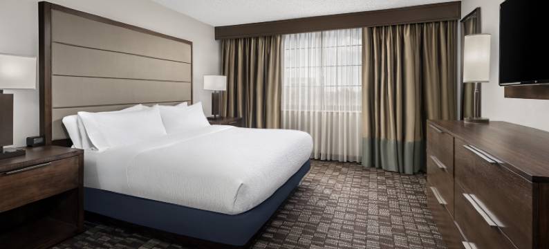 纳什维尔机场希尔顿安泊套房酒店(Embassy Suites by Hilton Nashville Airport)图片