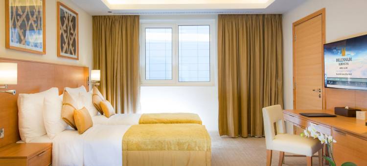 Millennium Kurdistan Hotel & Spa图片
