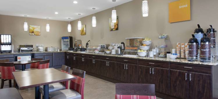 特雷霍特大学区舒适套房酒店(Comfort Suites Terre Haute University Area)图片