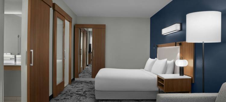 萨凡纳市中心/历史街区万豪SpringHill酒店(SpringHill Suites Savannah Downtown/Historic District)图片