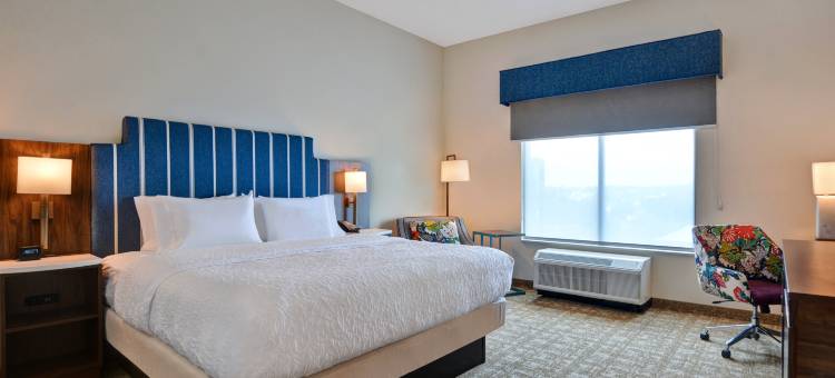 纳什维尔市中心国会大厦景观欢朋套房酒店(Hampton Inn & Suites Nashville Downtown Capitol View)图片