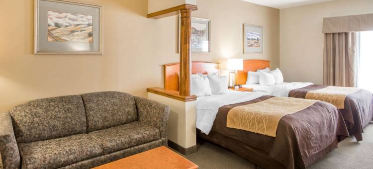 美国中区工业园区凯艺套房酒店(Quality Inn & Suites MidAmerica Industrial Park Area)图片