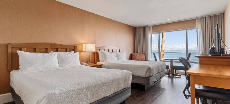 旧金山机场海湾瓦加邦德行政酒店(Vagabond Inn Executive SFO)图片