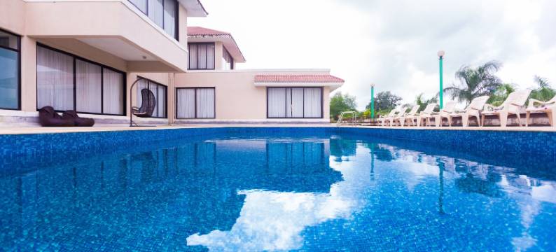 谢提农场(Shetty Farms)图片