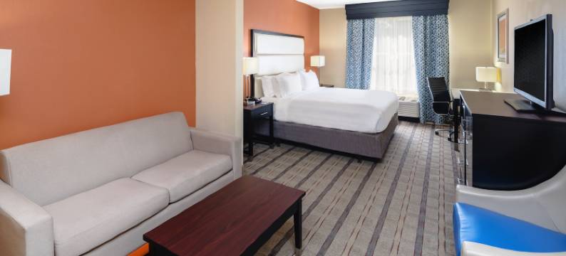 亚特兰大东北德卢斯智选假日套房酒店(Holiday Inn Express & Suites ATLANTA NE - DULUTH by IHG)图片