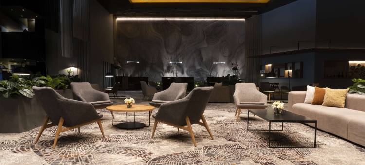 墨西哥城机场T2航站楼NH典藏酒店(NH Collection Airport T2)图片