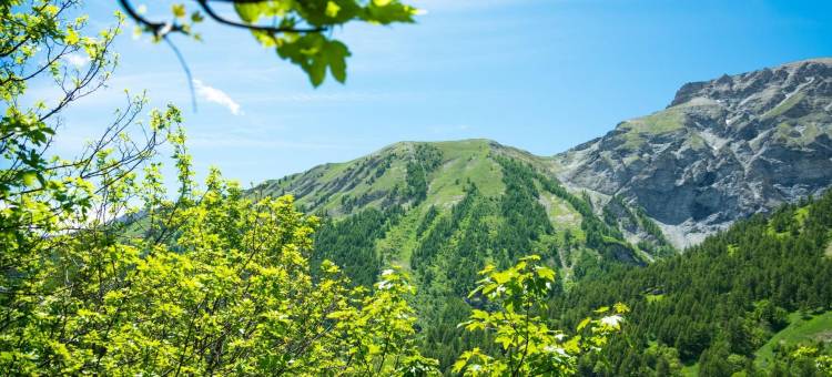 La Tana dello Scoiattolo (附近有滑雪地点)(La Tana Dello Scoiattolo Skiing Nearby - Happy Rentals)图片