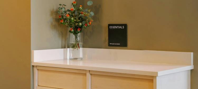 Sonder Ovation 公寓艺术大道(Sonder Ovation Apartments Avenue of the Arts)图片