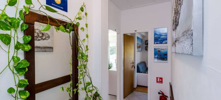 Lorena Mljet公寓(Apartments Lorena Mljet)图片