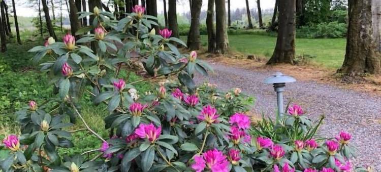 Agerfeld Gl Skole艾格菲尔德古老学堂(Agerfeld gl. Skole)图片