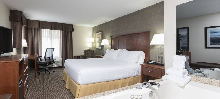 荷兰智选假日酒店(Holiday Inn Express Holland)图片