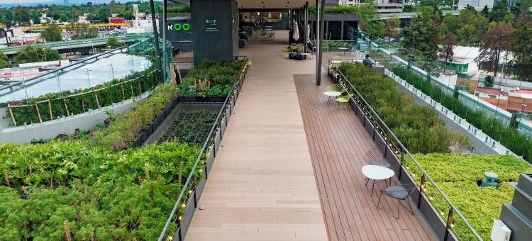 圣热罗尼莫广场画廊酒店(Galeria Plaza San Jeronimo)图片