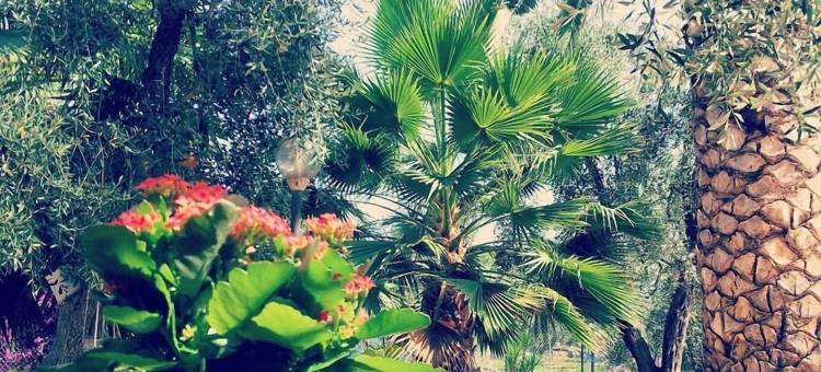 梅里谷别墅公寓(Villa Vale Mery)图片