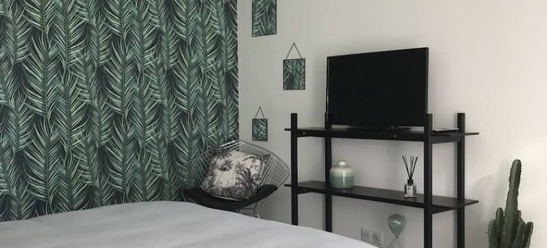 旺达尔盖绿洲酒店(L'Oasis Vendargues)图片