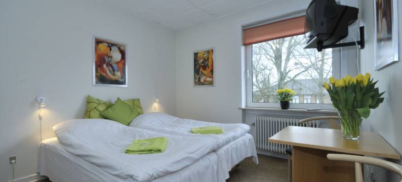 塞利格德课程中心酒店(Thyregod Kursuscenter)图片