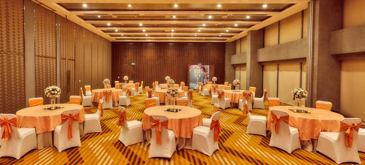 新德里航空城雅乐轩酒店(Aloft New Delhi Aerocity)图片