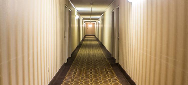 伊利-I 90速8酒店(Econo Lodge)图片