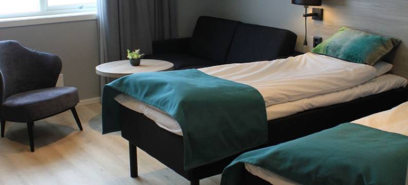 巴杜振镇(Bardufosstun)图片