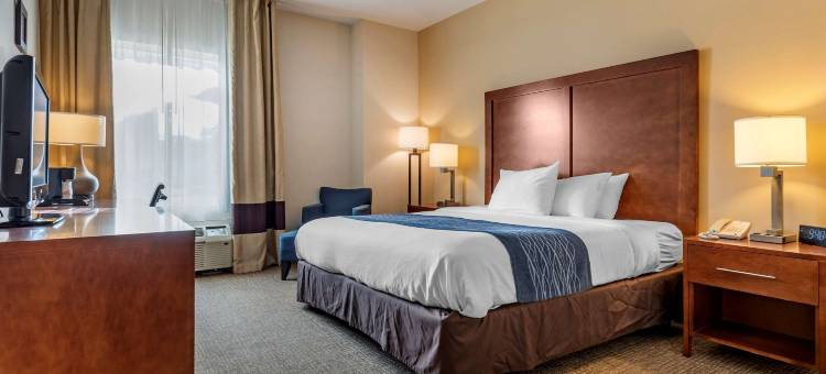 阿巴拉钦/宾汉顿西 17 号公路舒适酒店(Comfort Inn Apalachin / Binghamton W Route 17)图片