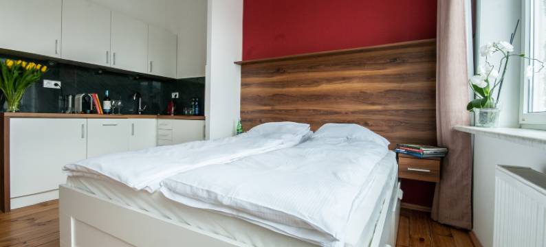 斯穆尔尼公寓(Smolna Apartments by Your Freedom)图片