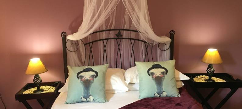 卡鲁生活家庭旅馆(Karoo Life B&B)图片