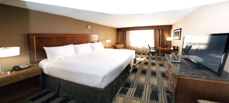 纽瓦克卡特雷特行政套房酒店(Hotel Executive Suites)图片
