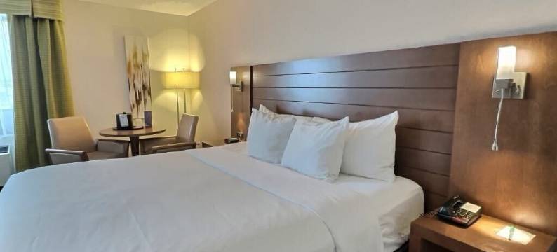 鲁安诺兰达品质酒店(Quality Inn Rouyn-Noranda)图片